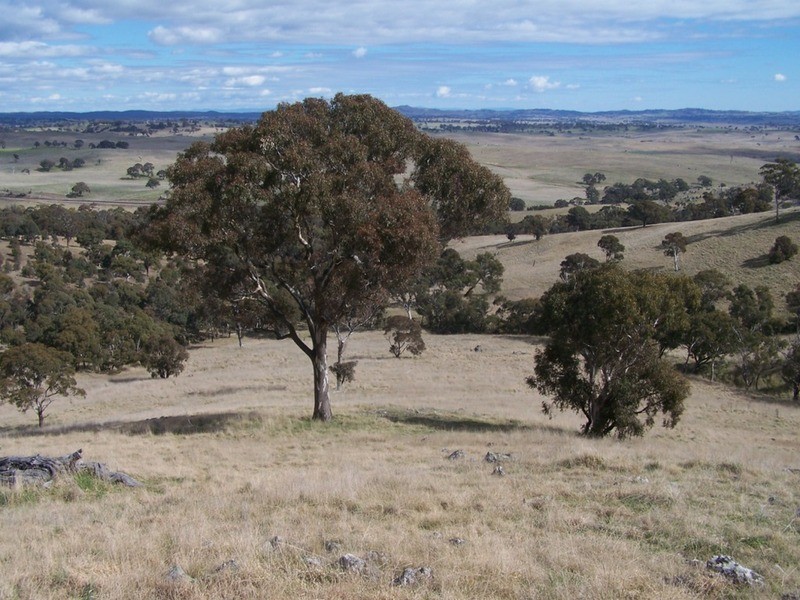 Lot 1 Cullerin Road, Gunning NSW 2581