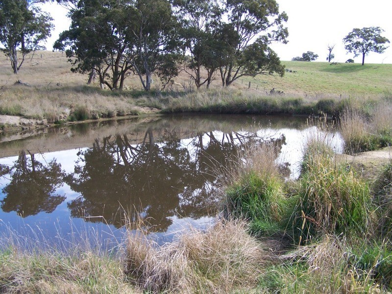 Lot 1 Cullerin Road, Gunning NSW 2581