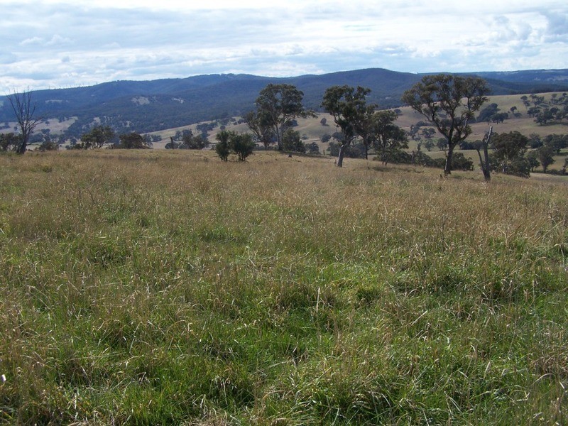 Lot 1 Cullerin Road, Gunning NSW 2581