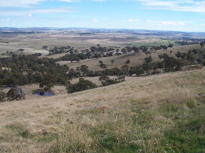 Lot 1 Cullerin Road, Gunning NSW 2581