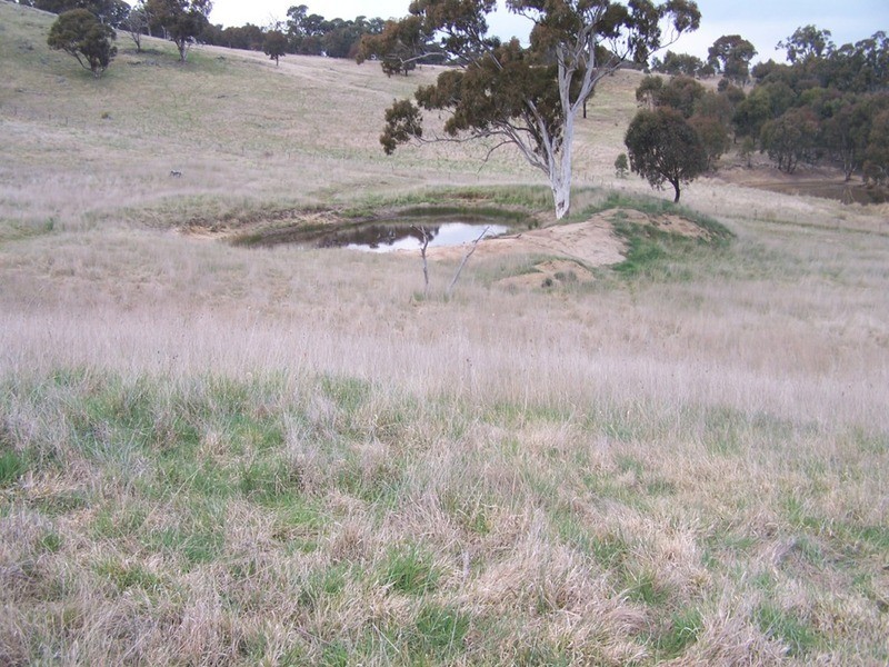 Lot 1 Cullerin Road, Gunning NSW 2581