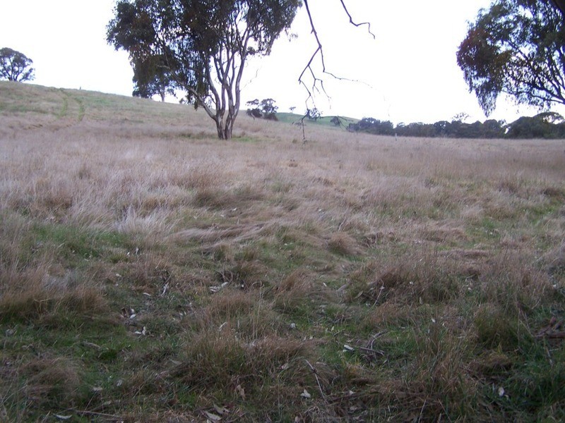 Lot 1 Cullerin Road, Gunning NSW 2581