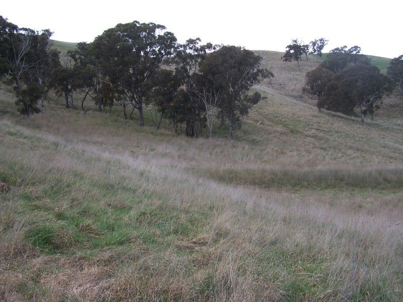 Lot 1 Cullerin Road, Gunning NSW 2581