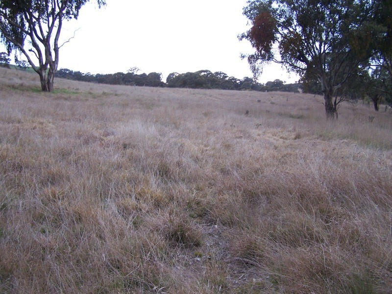 Lot 1 Cullerin Road, Gunning NSW 2581