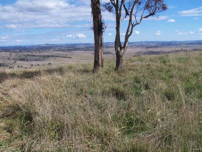 Lot 1 Cullerin Road, Gunning NSW 2581