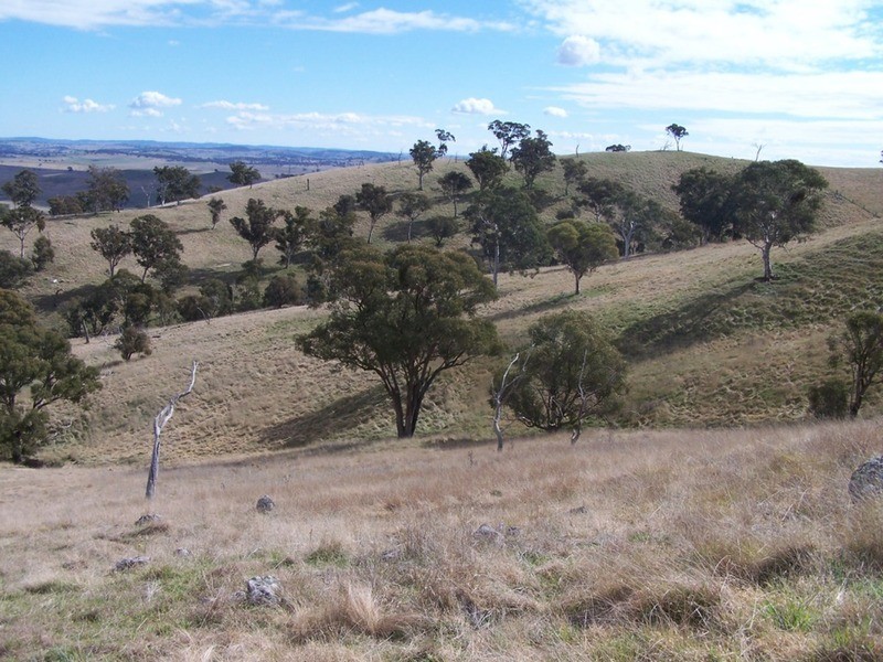 Lot 1 Cullerin Road, Gunning NSW 2581