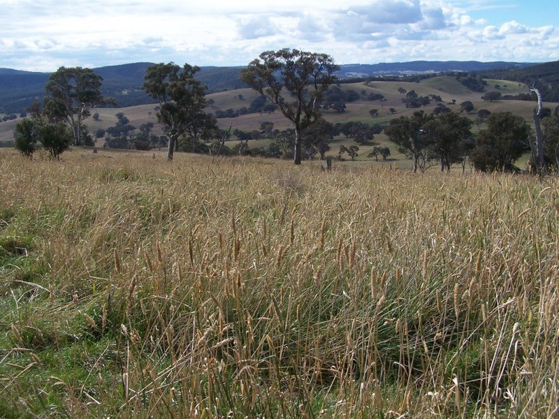 Lot 1 Cullerin Road, Gunning NSW 2581