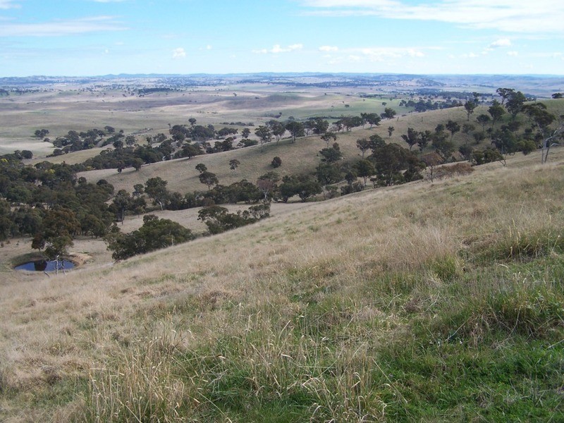 Lot 1 Cullerin Road, Gunning NSW 2581