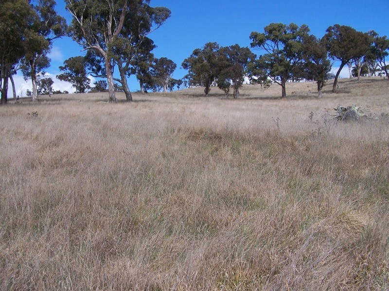 Lot 1 Cullerin Road, Gunning NSW 2581