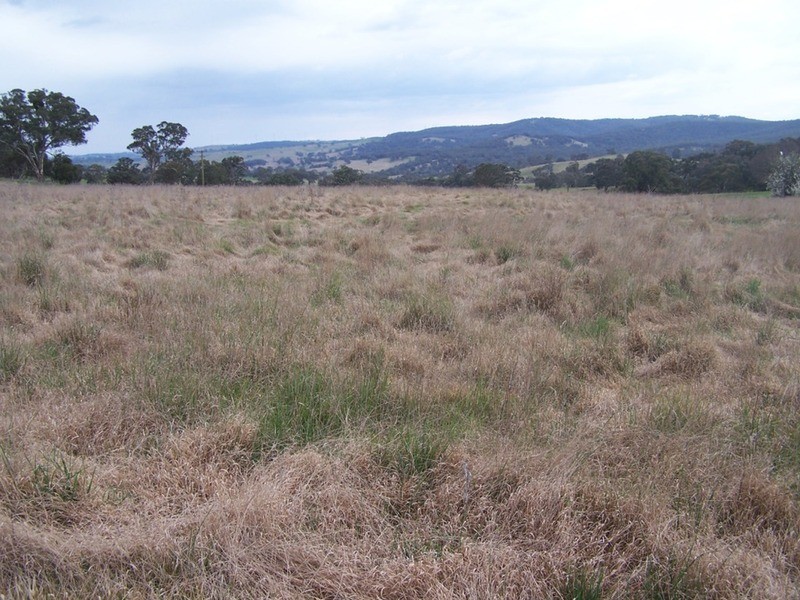 Lot 1 Cullerin Road, Gunning NSW 2581