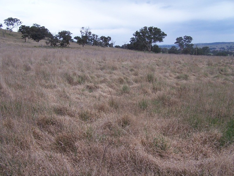 Lot 1 Cullerin Road, Gunning NSW 2581