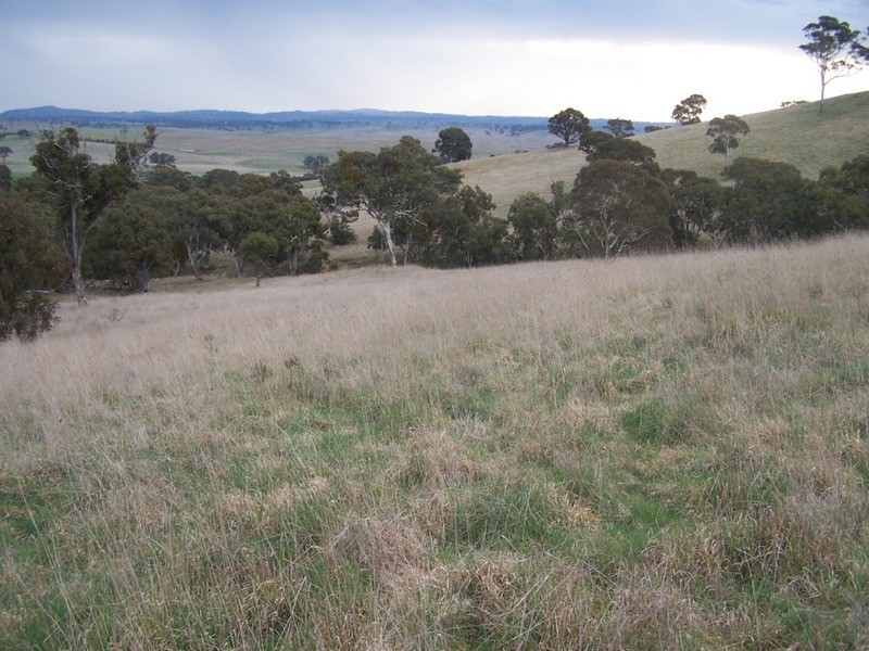 Lot 1 Cullerin Road, Gunning NSW 2581