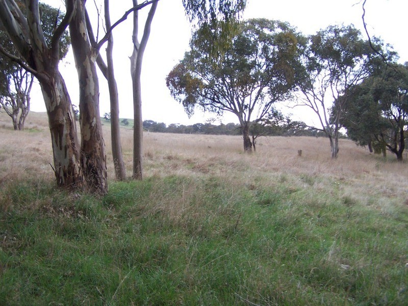 Lot 1 Cullerin Road, Gunning NSW 2581