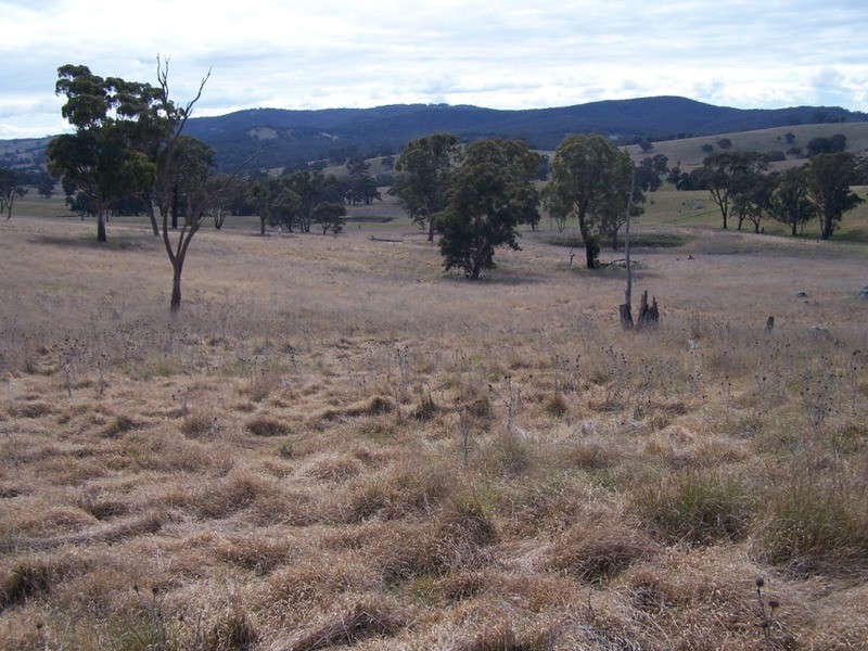 Lot 1 Cullerin Road, Gunning NSW 2581