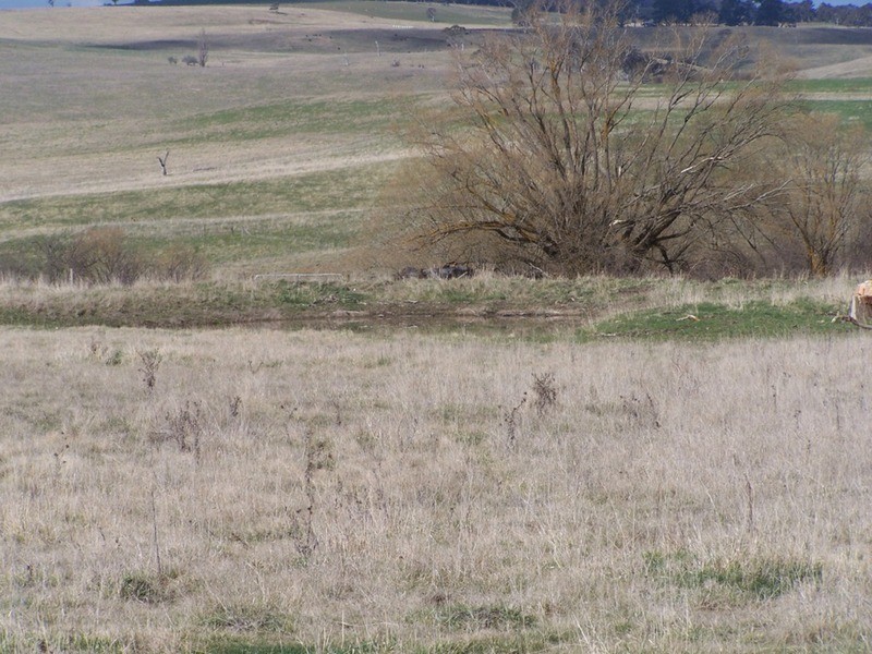 Lot 101 Hill  Street, Taralga NSW 2580