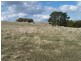 Lot 103 Hill  Street, Taralga NSW 2580