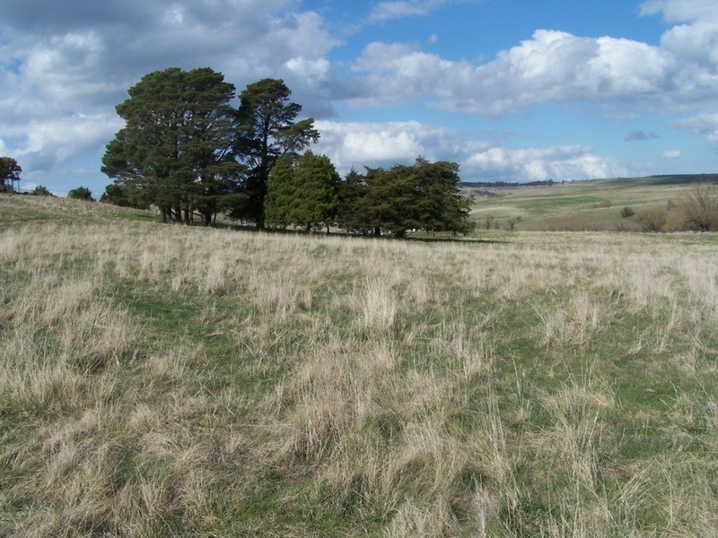 Lot 103 Hill  Street, Taralga NSW 2580