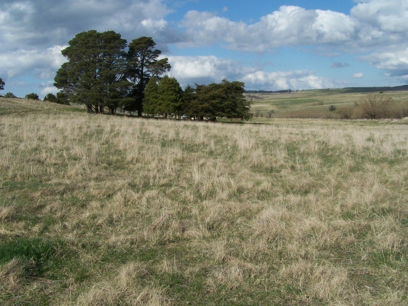 Lot 103 Hill  Street, Taralga NSW 2580