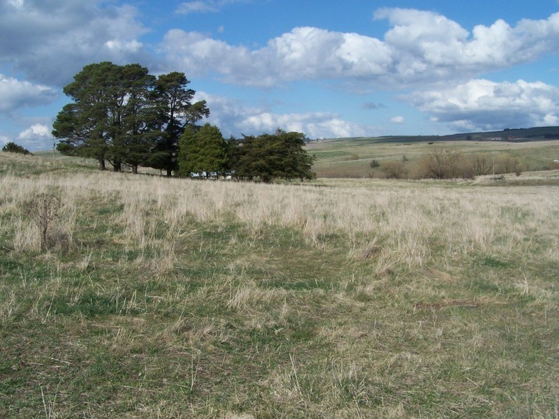 Lot 103 Hill  Street, Taralga NSW 2580
