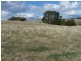 Lot 104  Hill Street, Taralga NSW 2580