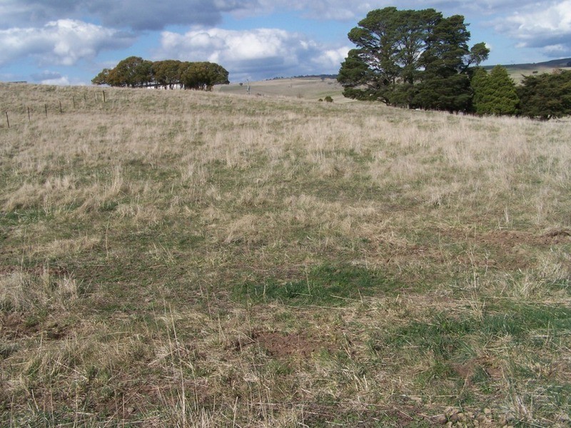 Lot 104  Hill Street, Taralga NSW 2580