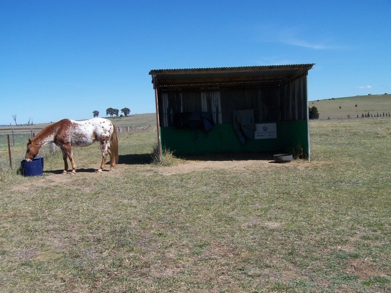 419 Mountain Ash Road, Goulburn NSW 2580