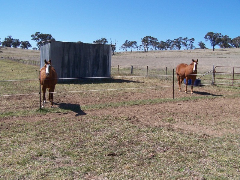 419 Mountain Ash Road, Goulburn NSW 2580