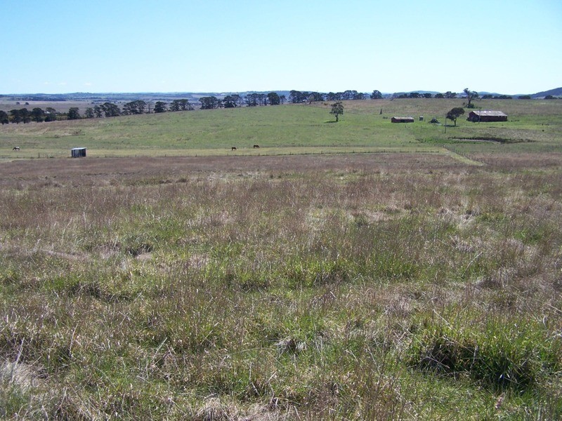 419 Mountain Ash Road, Goulburn NSW 2580