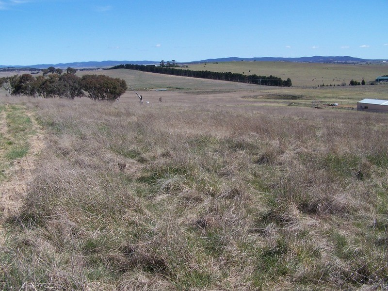 419 Mountain Ash Road, Goulburn NSW 2580