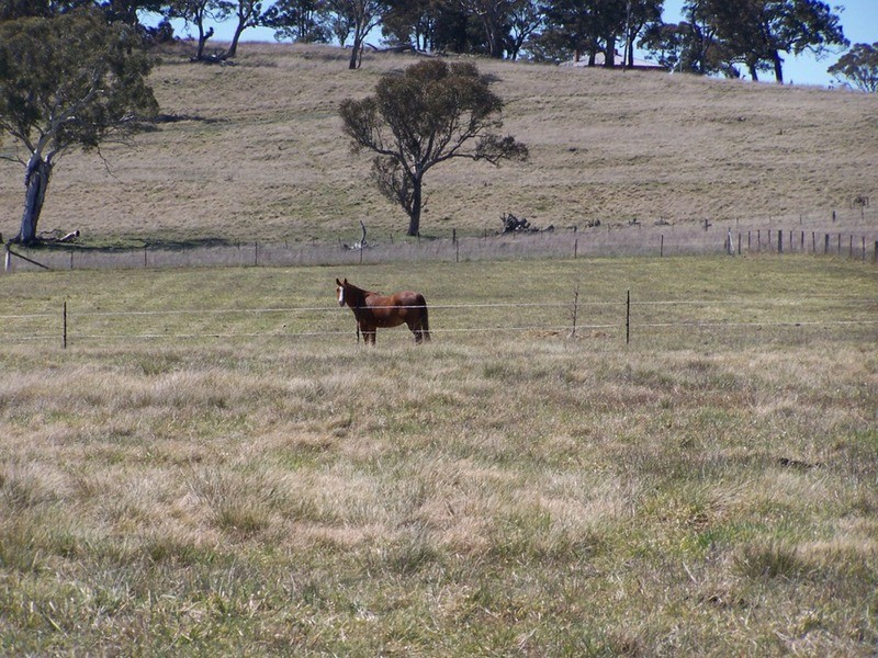 419 Mountain Ash Road, Goulburn NSW 2580