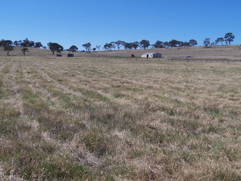 419 Mountain Ash Road, Goulburn NSW 2580