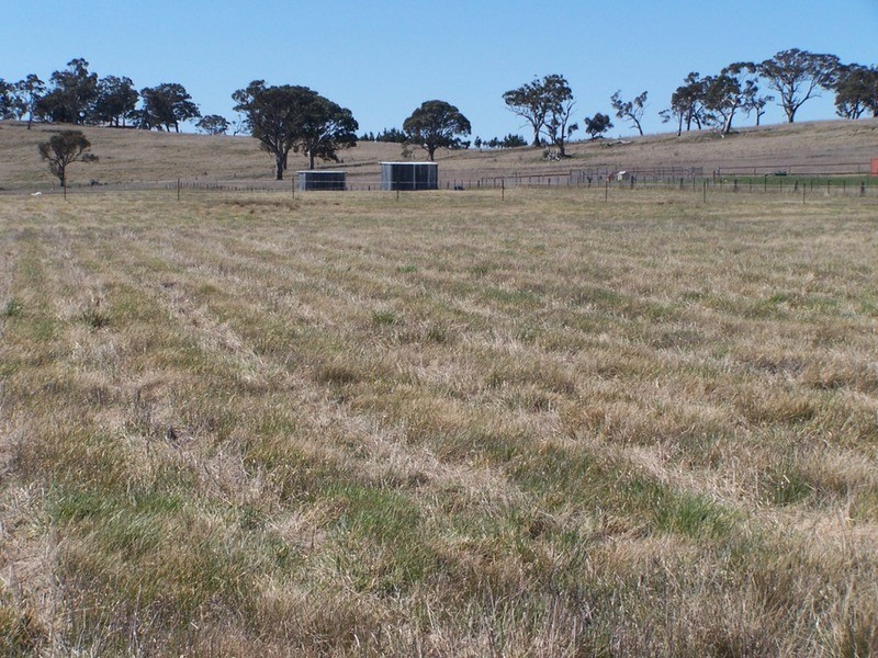 419 Mountain Ash Road, Goulburn NSW 2580