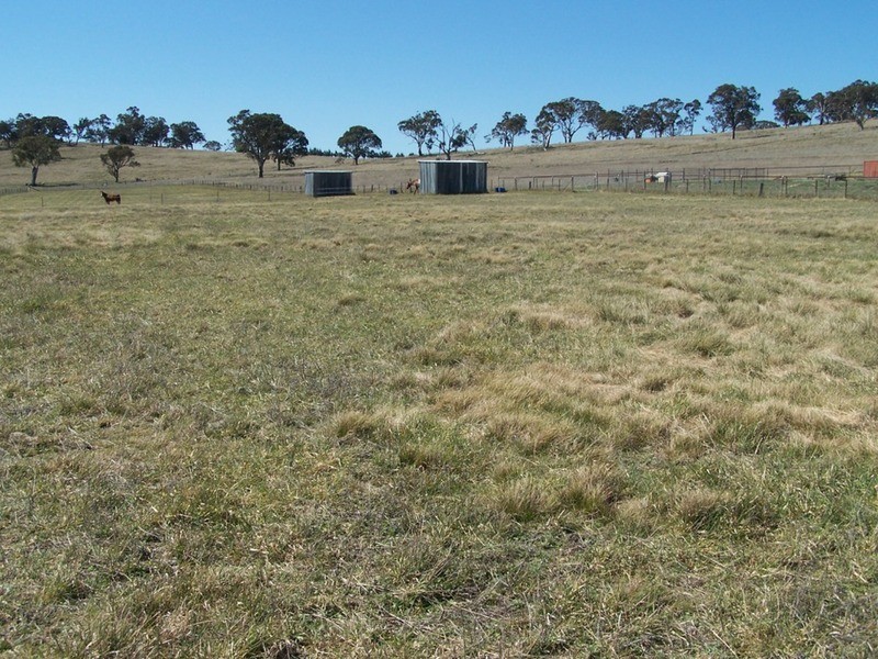 419 Mountain Ash Road, Goulburn NSW 2580