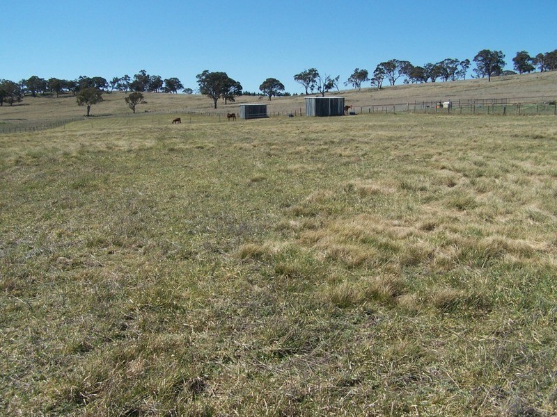 419 Mountain Ash Road, Goulburn NSW 2580