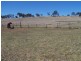 419 Mountain Ash Road, Goulburn NSW 2580