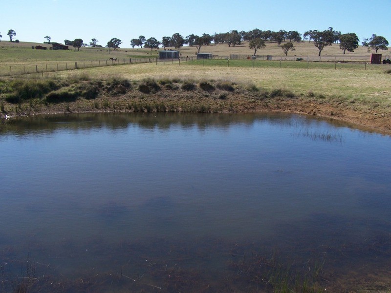 419 Mountain Ash Road, Goulburn NSW 2580