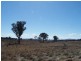 1046 Maryvale  Road, Bevendale NSW 2581