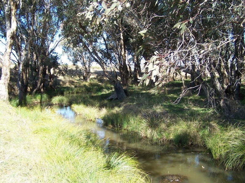 1046 Maryvale  Road, Bevendale NSW 2581