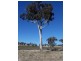 1046 Maryvale  Road, Bevendale NSW 2581