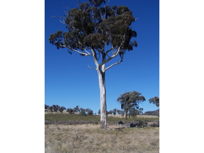 1046 Maryvale  Road, Bevendale NSW 2581