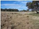Lot 5 Woodhouselee  Road, Laggan NSW 2583