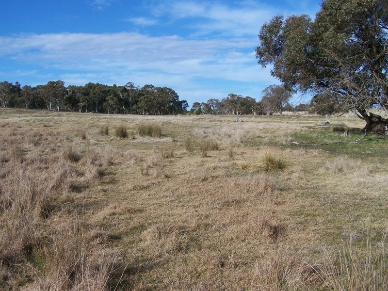Lot 5 Woodhouselee  Road, Laggan NSW 2583