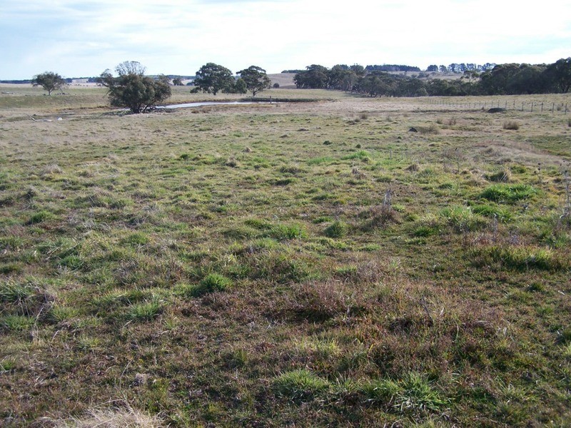 Lot 5 Woodhouselee  Road, Laggan NSW 2583