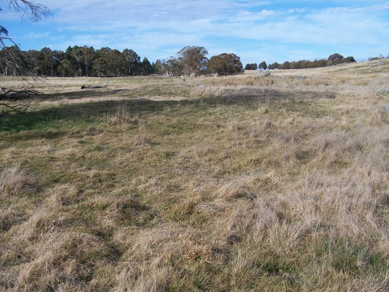 Lot 5 Woodhouselee  Road, Laggan NSW 2583