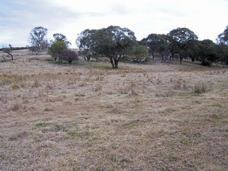 Lot 4 Woodhouselee  Road, Laggan NSW 2583