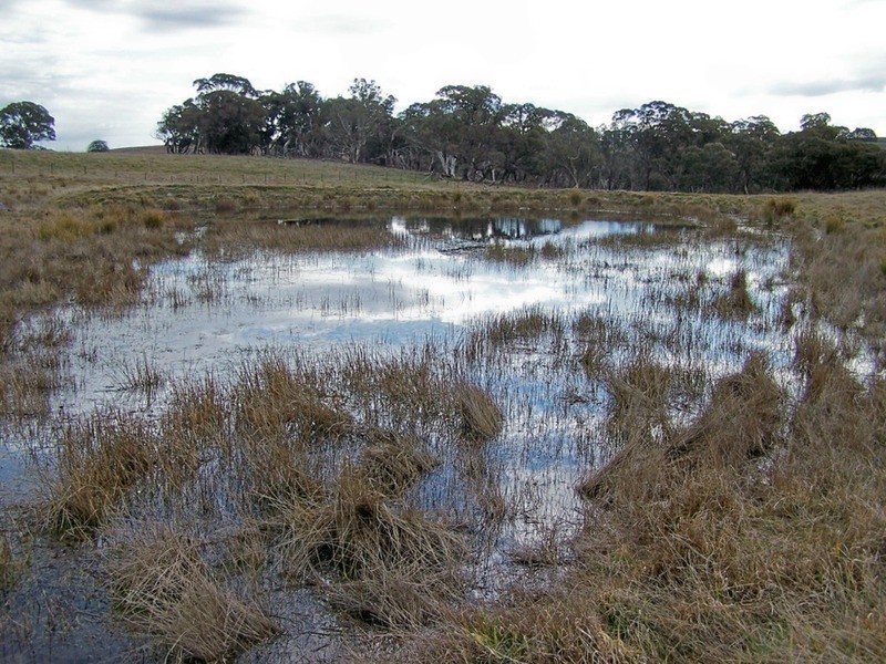 Lot 4 Woodhouselee  Road, Laggan NSW 2583