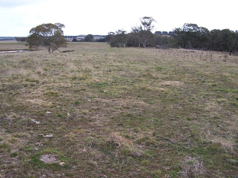 Lot 4 Woodhouselee  Road, Laggan NSW 2583