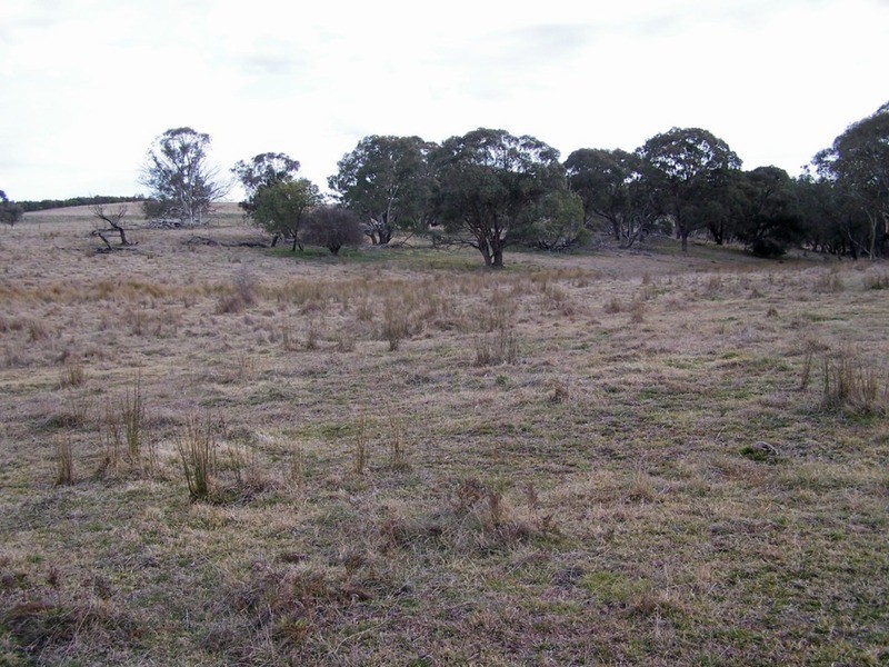 Lot 4 Woodhouselee  Road, Laggan NSW 2583