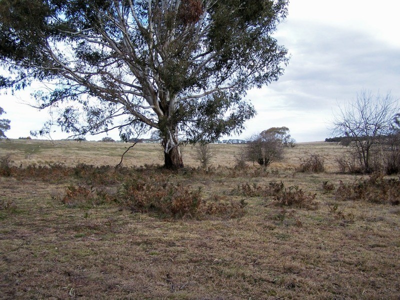 Lot 4 Woodhouselee  Road, Laggan NSW 2583
