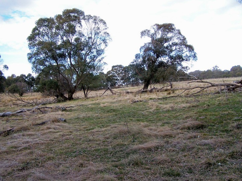 Lot 4 Woodhouselee  Road, Laggan NSW 2583